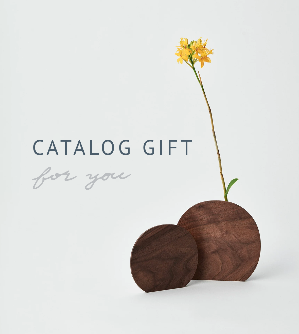 CATALOG GIFT for you